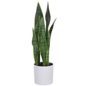 Umělá květina Kave Home Sansevieria